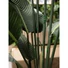 Kép 6/7 - EUROPALMS Strelitzia, artificial plant, 170cm