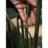 Kép 7/7 - EUROPALMS Strelitzia, artificial plant, 170cm