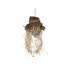 Kép 1/5 - EUROPALMS Halloween Scarecrow Skull, 70cm