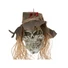 Kép 4/5 - EUROPALMS Halloween Scarecrow Skull, 70cm