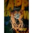 Kép 5/5 - EUROPALMS Halloween Scarecrow Skull, 70cm