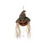 Kép 1/5 - EUROPALMS Halloween Cursed Pumpkin Head, 70cm