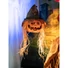 Kép 5/5 - EUROPALMS Halloween Cursed Pumpkin Head, 70cm