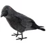 Kép 2/2 - EUROPALMS Halloween Raven, 18cm