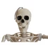 Kép 3/3 - EUROPALMS Halloween Skeleton, 150 cm
