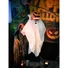 Kép 4/4 - EUROPALMS Halloween Pumpkin Ghost, animated, 110cm