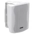 Kép 1/3 - OMNITRONIC C-50 white 2x