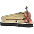 Kép 1/4 - DIMAVERY Violin 1/8 with bow in case