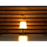 Kép 3/6 - EUROLITE AKKU Table Light 2 RGB+WW