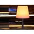 Kép 4/6 - EUROLITE AKKU Table Light 2 RGB+WW