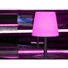 Kép 5/6 - EUROLITE AKKU Table Light 2 RGB+WW