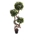 Kép 1/8 - EUROPALMS Ficus spiral trunk, artificial plant, 160cm