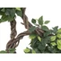 Kép 2/8 - EUROPALMS Ficus spiral trunk, artificial plant, 160cm