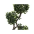 Kép 3/8 - EUROPALMS Ficus spiral trunk, artificial plant, 160cm