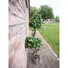 Kép 4/8 - EUROPALMS Ficus spiral trunk, artificial plant, 160cm