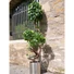 Kép 6/8 - EUROPALMS Ficus spiral trunk, artificial plant, 160cm