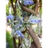 Kép 4/8 - EUROPALMS Flowering Garland, artificial, blue, 180cm