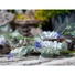 Kép 2/8 - EUROPALMS Flowering Garland, artificial, white, 180cm