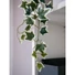 Kép 6/8 - EUROPALMS Holland ivy bush tendril classic, artificial, 70cm