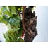 Kép 4/8 - EUROPALMS Grape bush, premium, artificial, 50cm