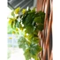 Kép 5/8 - EUROPALMS Grape bush, premium, artificial, 50cm