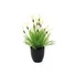 Kép 1/4 - EUROPALMS Feather lettuce, artificial, 40cm