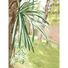 Kép 3/4 - EUROPALMS Spider plant, artificial, 60cm