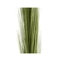 Kép 2/3 - EUROPALMS Reed grass, light green, artificial,  127cm