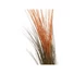Kép 2/8 - EUROPALMS Reed grass, light brown, artificial,  127cm