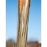 Kép 8/8 - EUROPALMS Reed grass, light brown, artificial,  127cm