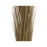 Kép 2/3 - EUROPALMS Reed grass, khaki, artificial,  127cm