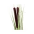 Kép 2/3 - EUROPALMS Reed grass with cattails,light green, artificial, 152cm