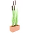 Kép 3/3 - EUROPALMS Reed grass with cattails,light green, artificial, 152cm