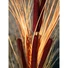 Kép 5/8 - EUROPALMS Reed grass with cattails, light-brown, artificial, 152cm