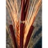 Kép 6/8 - EUROPALMS Reed grass with cattails, light-brown, artificial, 152cm