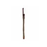 Kép 1/3 - EUROPALMS Reed grass cattails, dark-brown, artificial,  152cm