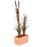 Kép 3/3 - EUROPALMS Reed grass cattails, dark-brown, artificial,  152cm