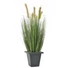Kép 1/3 - EUROPALMS Moor-grass in pot, artificial, 60cm