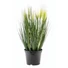 Kép 1/8 - EUROPALMS Feather grass, artificial, white, 60cm