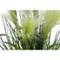 Kép 3/8 - EUROPALMS Feather grass, artificial, white, 60cm