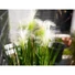 Kép 8/8 - EUROPALMS Feather grass, artificial, white, 60cm