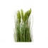 Kép 2/3 - EUROPALMS Wheat early summer, artificial, 60cm
