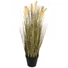 Kép 1/2 - EUROPALMS Wheat ready to harvest, artificial, 60cm