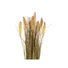Kép 2/2 - EUROPALMS Wheat bunch, artificial, 60cm