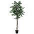 Kép 1/3 - EUROPALMS Variegated Ficus, artificial plant, 180cm