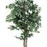 Kép 2/3 - EUROPALMS Variegated Ficus, artificial plant, 180cm