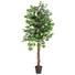 Kép 1/3 - EUROPALMS Ficus Tree Multi Trunk, artificial plant, 150cm
