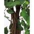 Kép 3/3 - EUROPALMS Ficus Tree Multi Trunk, artificial plant, 210cm