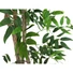Kép 2/8 - EUROPALMS Ficus longifolia, artificial plant, 165cm