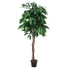Kép 1/2 - EUROPALMS Jungle tree Mango, artificial plant, 180cm